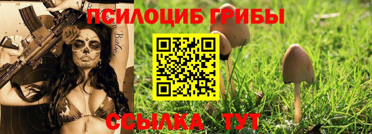 Галлюциногенные грибы Psilocybine cubensis Каменка